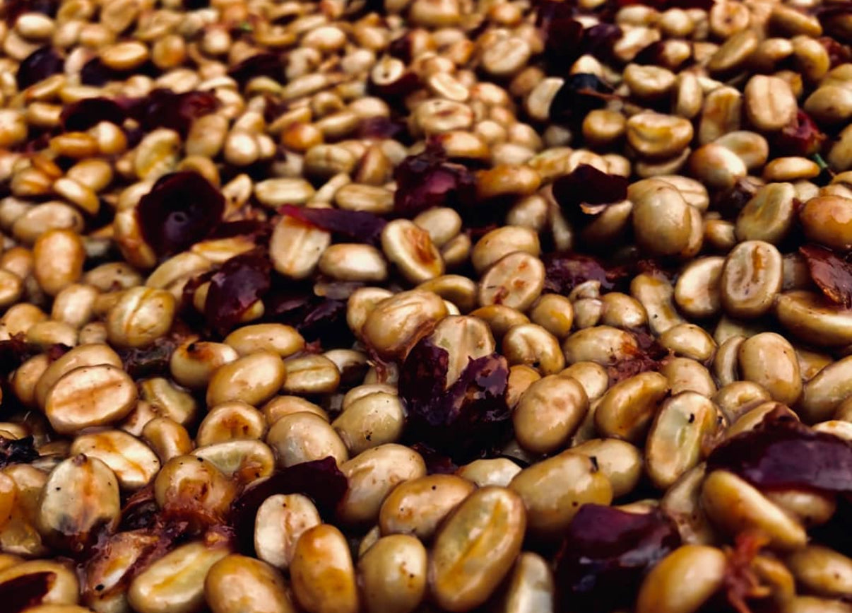 Finca Rivense FH, Costa Rica